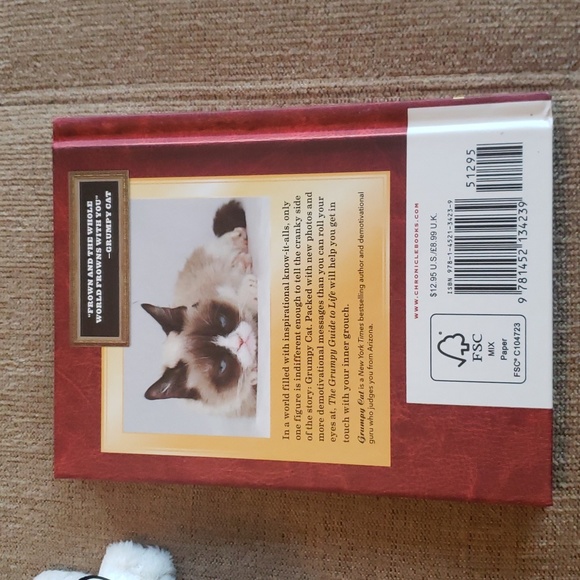 Grumpy Cat Mini Book & Plush - Picture 2 of 7